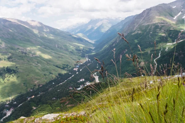 Prados alpinos herbáceos en el Cáucaso — Foto de Stock