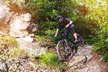 Spor. Ormandaki bir dağ bisikleti ile bisiklet üzerinde bir bisikletçi