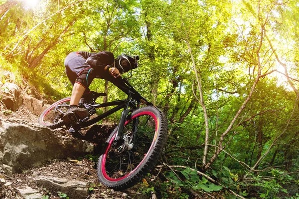 Sport. Un ciclista in bicicletta con una mountain bike nel bosco — Foto Stock