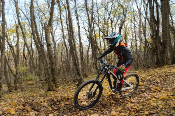 Un giovane cavaliere che guida una mountain bike va a velocità in discesa nella foresta autunnale . — Foto Stock