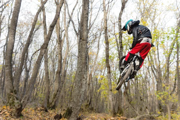 Un giovane cavaliere al volante della sua mountain bike fa un trucco nel saltare sul trampolino del sentiero in discesa nel bosco autunnale — Foto Stock