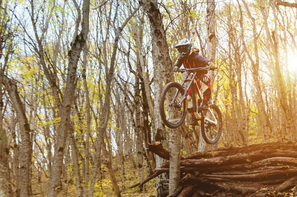 Um jovem cavaleiro ao volante de sua bicicleta de montanha faz um truque em saltar no trampolim do caminho de montanha downhill na floresta de outono — Fotografia de Stock