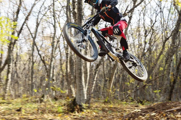 dağ bisikleti tekerlek genç bir atlı bir numara üzerinde sonbahar orman yokuş aşağı dağ yolunda tramplen atlama yapar