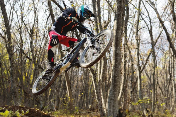 dağ bisikleti tekerlek genç bir atlı bir numara üzerinde sonbahar orman yokuş aşağı dağ yolunda tramplen atlama yapar
