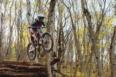 dağ bisikleti tekerlek genç bir atlı bir numara üzerinde sonbahar orman yokuş aşağı dağ yolunda tramplen atlama yapar