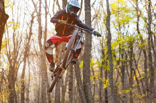 Un giovane cavaliere al volante della sua mountain bike fa un trucco nel saltare sul trampolino del sentiero in discesa nel bosco autunnale — Foto Stock