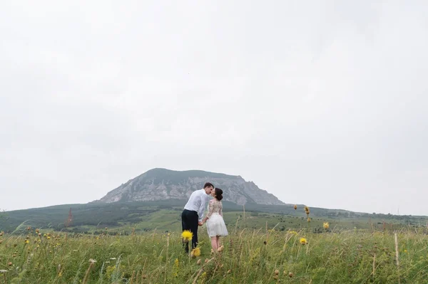 Novomanželé uprostřed zelené louce polibek na pozadí hory — Stock fotografie