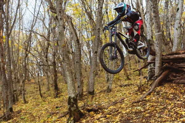 Un giovane cavaliere al volante della sua mountain bike fa un trucco nel saltare sul trampolino del sentiero in discesa nel bosco autunnale — Foto Stock