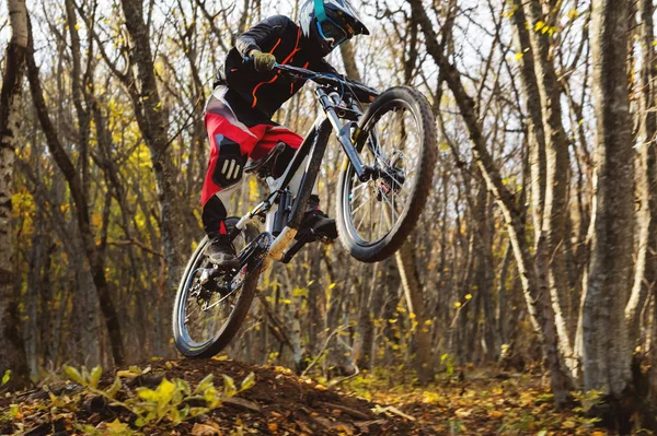 Um jovem cavaleiro ao volante de sua bicicleta de montanha faz um truque em saltar no trampolim do caminho de montanha downhill na floresta de outono — Fotografia de Stock