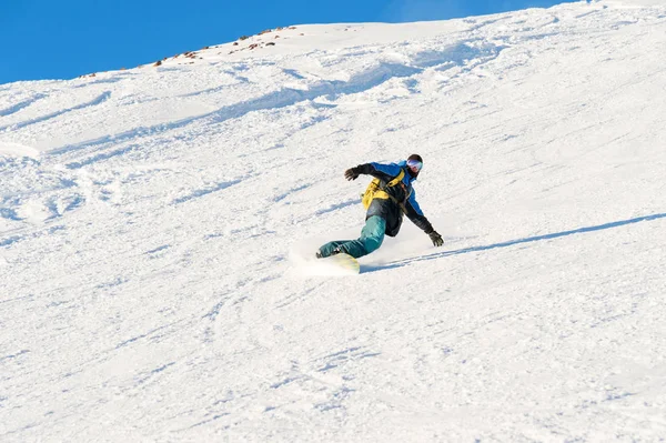 Freeride snowboarder ρολά σε μια πλαγιά χιονισμένη αφήνοντας πίσω μια σκόνη χιόνι ενάντια στον γαλάζιο ουρανό — Φωτογραφία Αρχείου