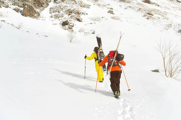 Două freerider de schi urcă pârtia în praf de zăpadă adânc cu echipamentul de pe spate fixat pe rucsac . — Fotografie, imagine de stoc