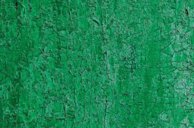 Doku yeşil ahşap bir yönetim kurulu. Çim yüzeyindeki çatlak yeşil boya