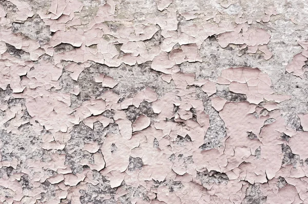 Recubrimiento de pintura rosa con grietas en una piedra gris sucia. Pelar pintura rosa Grunge — Foto de Stock