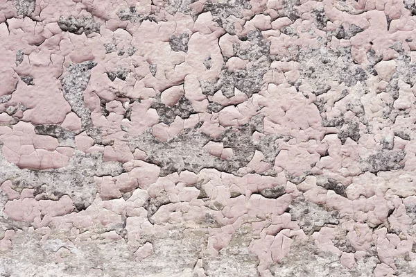 Pink paint coating with cracks on a dirty gray stone. Peeling pink paint Grunge