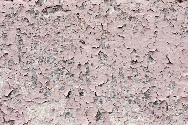 Pink paint coating with cracks on a dirty gray stone. Peeling pink paint Grunge