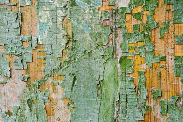 A large textured background the old yellow board is covered with green paint. Exfoliating green paint in large pieces missing on the wooden coating. The concept of ruin and vintage antiquity — Stock Photo, Image