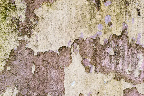 Textured background of a tiled wall with traces of moisture in the form of a green fungus vertical traces. The chipping pieces of the putty hide the cement surface finish. White putty and a brown wall — Stock Photo, Image