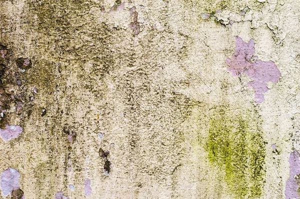 Текстурований фон плиткової стіни зі слідами вологи у вигляді зеленого гриба вертикальних слідів. Шматочки подрібнення шпаклівки приховують цементну обробку. Біла шпаклівка і коричнева стіна — стокове фото