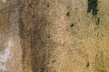 Nem yeşil mantar, küf ve yeşil yosun şeklinde izleri ile döşenmiş bir duvarından dokulu arka plan. Macun kapak çimento yüzeyi yüzey kaplama boyalı. Kirli macun ve kahverengi duvar. ,
