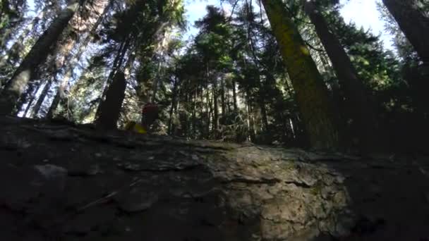 Une jeune photographe hipster active et en bonne santé avec un appareil photo dans les mains se promène dans la forêt. La fille traverse une bûche. Vue du bas. Low key 60 FPS au ralenti. GoPro 6 Noir avec un trois — Video