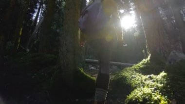 Bir etkin sağlıklı hippi kız fotoğrafçı elleri bir kamera ile ormanda yürür. Dikiz yürüyen bir kız ormanda yürüyüş. Kız gelir ve Fotoğraflar düşük anahtar 60 Fps