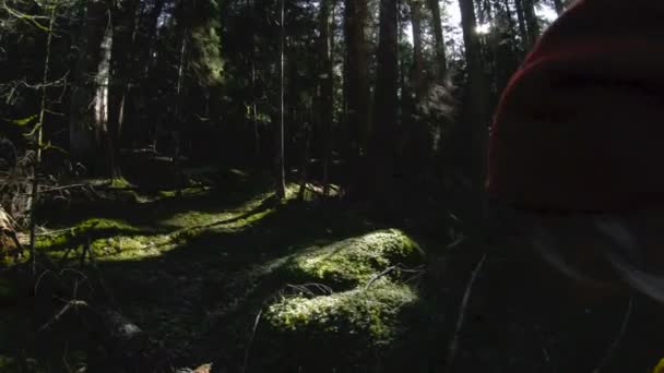 Μια ενεργή και υγιή hipster κορίτσι-φωτογράφος με μια φωτογραφική μηχανή στα χέρια της βόλτες μέσα στο δάσος. Χαμηλό βασικό 60 Fps, αργή κίνηση. GoPro 6 Black με σταθεροποιητή αναρτήρων λαβή τριών αξόνων — Αρχείο Βίντεο
