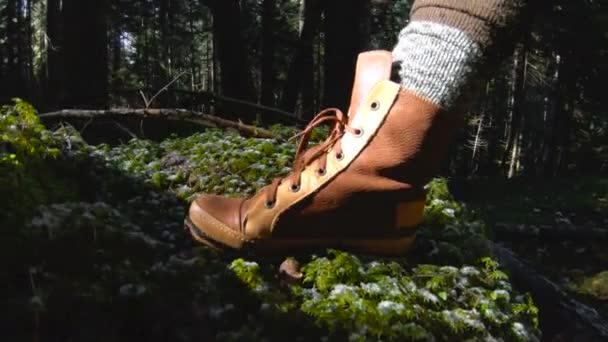 Une jeune photographe hipster active et en bonne santé avec un appareil photo dans les mains se promène dans la forêt. Gros plan d'un pied marchant sur de la mousse verte. Low key 60 FPS au ralenti. GoPro 6 Noir avec un trois axes — Video