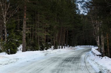 Bir kış dağ yolunda bir görünümünü kar ve kuma bir çam ormanı ile kaplı. Kar altında asfalt yol. Mevsim ve kış seyahat kavramı. Kış orman