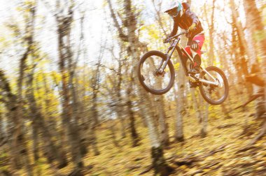 dağ bisikleti tekerlek genç bir atlı bir numara üzerinde sonbahar orman yokuş aşağı dağ yolunda tramplen atlama yapar