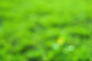 Arka plan rüya bokeh yaprak güneşli gün arka plan kavramı modern Eko bahar başlık dekorasyon Hıristiyan kartı için bulanıklık. taze bio yeşil doku. Sulu yeşil bir arka plan bahar ya da yaz için