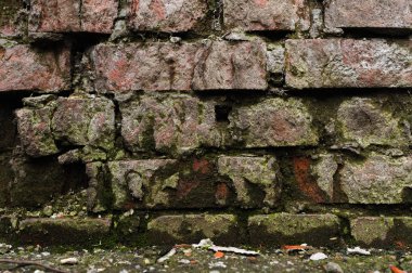 Yıpranmış grunge arka plan eski tuğla duvar ve dökülüyor. Çimento interlayers tuğla arasında yeşil yosun kaplıydı. Nem tuğla binalar üzerinde etkisi