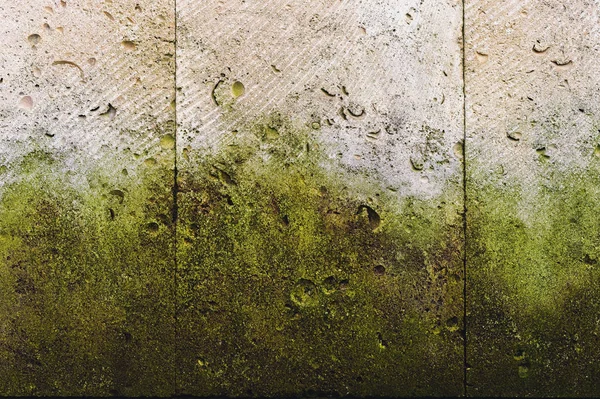 Texturou pozadí svislé obkladové z shellu kamene se stopami tvorby mechu v podobě zelených plísní. Grunge pozadí s prvky života rostliny. Stará zeď s zelenou plísní. — Stock fotografie