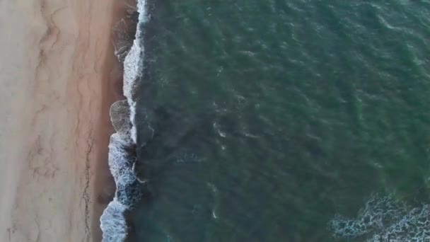 Vue aérienne d'une plage tropicale à l'heure bleue après le coucher du soleil montrant des images en soirée de vagues océaniques vertes mousseuses s'écrasant sur la côte. Vue de dessus sans personnes 