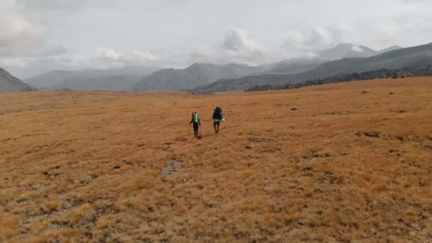 Luchtfoto van een paar reizigers man en vrouw met grote rugzakken in hoeden en zonnebrillen lopen langs een alpine plateau omringd door epische bergen — Stockvideo