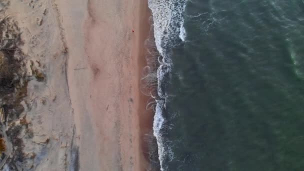 Vue aérienne d'une plage tropicale à l'heure bleue après le coucher du soleil montrant des images en soirée de vagues océaniques vertes mousseuses s'écrasant sur la côte. Vue de dessus sans personnes 