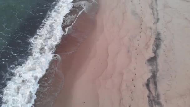 Vue aérienne d'une plage tropicale à l'heure bleue après le coucher du soleil montrant des images en soirée de vagues océaniques vertes mousseuses s'écrasant sur la côte. Vue de dessus sans personnes 