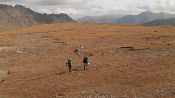 Vista aérea de un par de viajeros hombre y mujer con grandes mochilas en sombreros y gafas de sol caminan a lo largo de una meseta alpina rodeada de montañas épicas — Vídeos de Stock