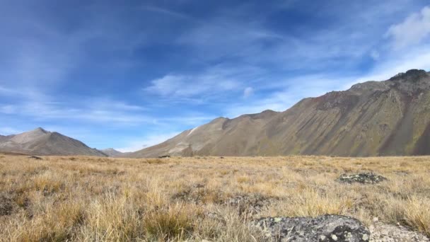 Zeitraffer von Wolken, die über den blauen Himmel über den schneebedeckten Gipfeln der Berge, Georgiens und des Kaukasus ziehen. Bergtal, Natur von Georgien, Kazbegi. Wolken in felsigen Bergen — Stockvideo