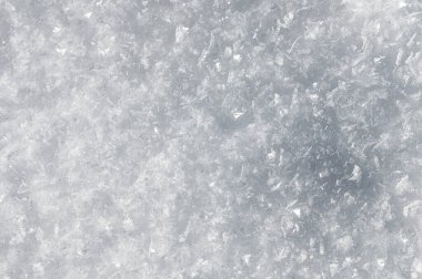 Kar zemini ve detaylı kar taneleri. Gerçek kar kristallerinin makro fotoğrafı: altıgen simetriye sahip büyük yıldız dendritleri, uzun zarif desenler ve hassas şeffaf yapılar