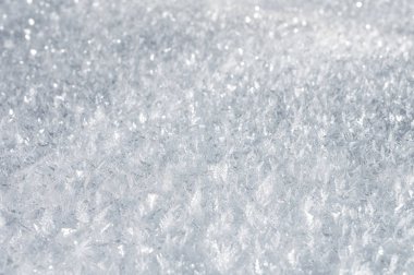 Kar zemini ve detaylı kar taneleri. Gerçek kar kristallerinin makro fotoğrafı: altıgen simetriye sahip büyük yıldız dendritleri, uzun zarif desenler ve hassas şeffaf yapılar