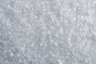 Kar zemini ve detaylı kar taneleri. Gerçek kar kristallerinin makro fotoğrafı: altıgen simetriye sahip büyük yıldız dendritleri, uzun zarif desenler ve hassas şeffaf yapılar