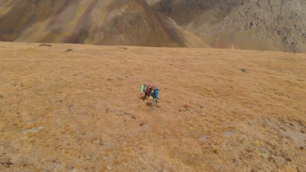 Vista aérea de un par de viajeros hombre y mujer con grandes mochilas en sombreros y gafas de sol caminan a lo largo de una meseta alpina rodeada de montañas épicas — Vídeos de Stock