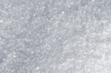 Kar zemini ve detaylı kar taneleri. Gerçek kar kristallerinin makro fotoğrafı: altıgen simetriye sahip büyük yıldız dendritleri, uzun zarif desenler ve hassas şeffaf yapılar