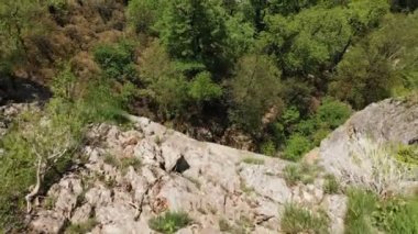 Hava fırlatma dronu. Yeşil bir kozalaklı ormanın, nehrin, yüksek bir uçurumun üzerinde uçuyor..