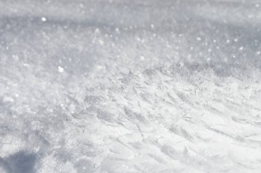 Snow background with detailed snowflakes. A macro photo of real snow crystals: large stellar dendrites with hexagonal symmetry, long elegant patterns and delicate transparent structures clipart