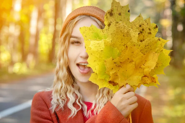 Retrato de menina loira branca atraente em casaco vermelho com um chapéu vermelho com um buquê de folhas amarelas caídas sorrindo na floresta de outono e cobrindo seu rosto com folhas . — Fotografia de Stock