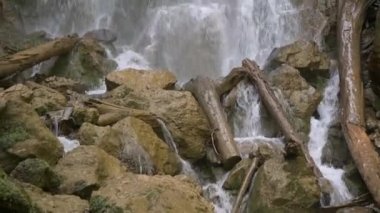 Şelale. Güçlü bir su akıntısı taşlardan ve kütüklerden aşağı akar. Yakın plan, pan