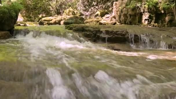 Bosque de montaña río rápido con aguas claras fluye hacia abajo. Primer plano, día soleado — Vídeo de stock