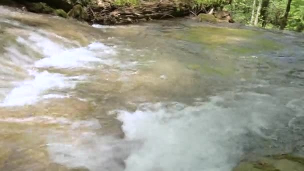 Bergwoud snelle rivier met helder water stroomt naar beneden. Close-up, zonnige dag — Stockvideo