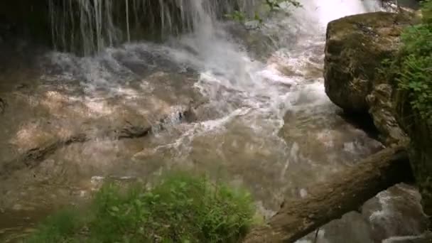 Bosque de montaña río rápido con aguas claras fluye hacia abajo. Primer plano, día soleado — Vídeo de stock